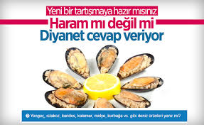 Jul 20, 2015 · fikriyat haberlerini, dosyalarını, yazarlarını, videolarını ve galerilerilerini www.fikriyat.com.tr'den takip edebilirsiniz. Ilrz Ni2kiyy M