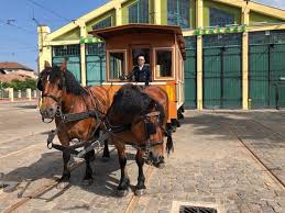 Liniile deservite de tramvaie sunt numite linii de tramvai. Parada Mijloacelor De Transport Istorice Tramvaiul Tras De Cai Si