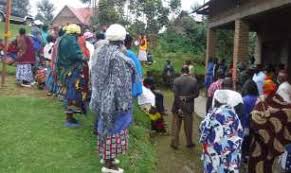 Image result for isolona lebrunii