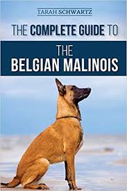 The american belgian malinois club, which is the american kennel club parent organization for the breed in the united states, participates in the canine breeders who offer puppies at one price with papers and at a lower price without papers are unethical and should be reported to the american. The Complete Guide To The Belgian Malinois Selecting Training Socializing Working Feeding And Loving Your New Malinois Puppy Amazon Co Uk Schwartz Tarah 9781952069802 Books