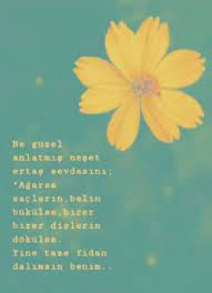 Katre Adli Kullanicinin Gulzar I Ask Panosundaki Pin