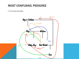 pedigrees shows a pattern of inheritance in a family for a