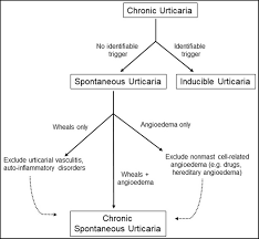 Urticaria, also known as hives, is an outbreak of pale red bumps or welts on the skin that appear suddenly. Autoimmune Theories Of Chronic Spontaneous Urticaria Abstract Europe Pmc