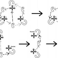 PDF) Cellular Origin, Life in Extreme Habitats and Astrobiology