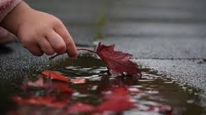 O zi de vineri binecuvantata! Meteo Inca O Zi Placuta Dar Cu Soare Scump La Vedere De Miercuri Se Face Frig Mobile