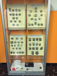 Pacing expert dr.w.scheibelhofer provides information and links for pacemaker patients and physicians pacing schrittmacher herzschrittmacher datenbank information. Implantierte Herzschrittmacher Defibrillatoren Objektgruppen Krankenhausmuseum Bielefeld E V Museum Digital Ostwestfalen Lippe