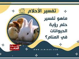 رؤية مصافحة رئيس الدولة في المنام للفتاة العزباء وكأنها تريد أن تصافحه علنًا فهذا يدل حلم تتمناه وسوف تحصل على مرادها إن شاء الله. Ø±Ù…ÙˆØ² Ø§Ù„Ø­ÙŠÙˆØ§Ù†Ø§Øª ÙÙŠ Ø§Ù„Ù…Ù†Ø§Ù…