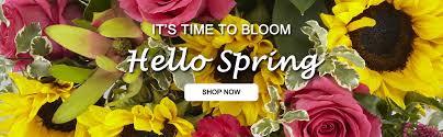 Send same day flowers with an interflora florist. Same Day Flower Delivery In Spring Hill Fl 34606 By Your Ftd Florist Flower House Iii 352 686 4180