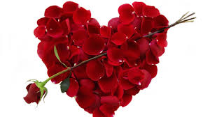 We have a large selection of cool, beautiful, funny, flower, love, computer, animated. Wallpapers Full Hd Love Free Download For Laptop Desktop Background