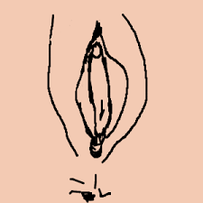 Draw a vulva | Life and style | The Guardian