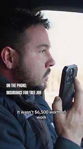 Understanding Storm Work Delays in Tree Services