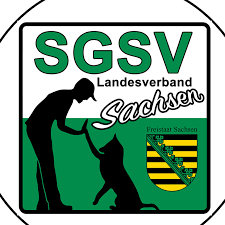 V 53 b peter juliane otto hsv geringswalde e.v. Hsv Dresden Neustadt Home Facebook