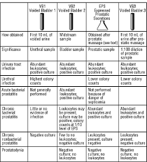 Image result for Expressed Prostatic Secretion