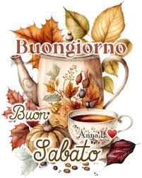 Frasi e immagini di Buongiorno per sabato: le più belle da condividere –  Nordest24