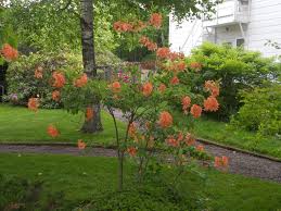 Fruit + water pouches offer healthy hydration on the go parents are looking for, with 50% less sugar than average 100% juices. Canisters 2014 Picture Of The Day