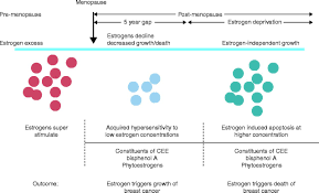 Menopausal hormone therapy after breast cancer: The New Biology Of Estrogen Induced Apoptosis Applied To Treat And Prevent Breast Cancer In Endocrine Related Cancer Volume 22 Issue 1 2015