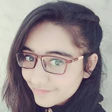 Major dignitaries from other countries might get to meet the president when they visit the u.s. What Does The Expression Pleasantly Besieged By Dignitaries Mean English Long Walk To Freedom 13588795 Meritnation Com