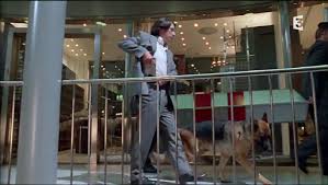 Le chien déprime sans son maître et on décide de l'endormir, mais au dernier moment il s'échappe et le commissaire le retrouve sur la tombe de son maître. L Attentat S1 Episode 1 90 Min Rex Chien Flic