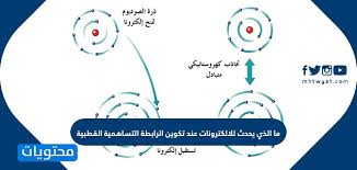 ما الذي يحدث للالكترونات عند تكوين الرابطة التساهمية القطبية المعلمين العرب