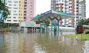 Hikawa iona (氷川いおなhikawa iona?) is one of the four main cures in the series happiness charge pretty cure! After Flood Tourism In India S Kerala Left Mud Bound Arab News