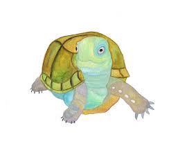 pin de laetidoc en turtles tatuajes tortugas animales coloriage logo nascar