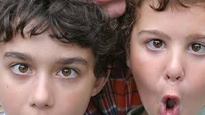 The Giblet Boys (TV Series 2005– )