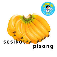 Dalam sesuatu bahasa yang ada penjodoh bilangan, sesuatu kata nama boleh disertakan penjodoh bilangan. Penjodoh Bilangan æ°´æžœç¯‡ Sebiji Cikgu Jo Bahasa Malaysia Facebook