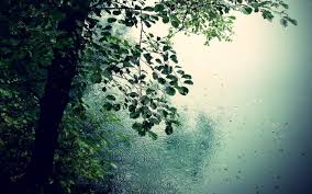A collection of the best 120 full hd romantic rain wallpaper wallpapers and backgrounds available for download for free. Nature Trees Rain Romance Puddles Drops Leaves Wallpapers Hd Desktop And Mobile Backgrounds