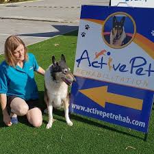 Shop at the victoria park paw spa boutique for all your pet's homecare and healthcare needs. Pets And Vets Wa Home Facebook