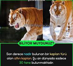 Biliyor Muydunuz 2020 Biliyor Muydunuz Komik Fikralar Komik