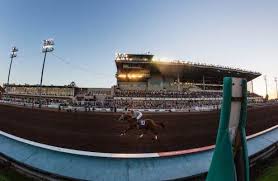 Check spelling or type a new query. Los Alamitos Owner Threatens To Close Track Over Half Year License
