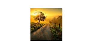 Mahlon K. Weaver Obituary (2022)