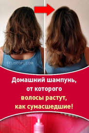как ускорить рост волос в домашних условиях за неделю Domashnij Shampun Dlya Bystrogo Rosta Volos V 2020 G Shampun Dlya Rosta Volos Sovety Dlya Rosta Volos Recepty Dlya Rosta Volos