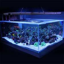 Amazon Com Bozily Aquarium Lights Led 300w Full Spectrum Coral Reef Light For Aquarium Tanks Lighting App Control With Auto On Off Dimming Timer For Saltwater Freshwater Fish Grow Marine Tank