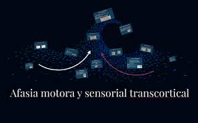 We did not find results for: Afasia Motora Y Sensorial Transcortical By Gisel Albuja