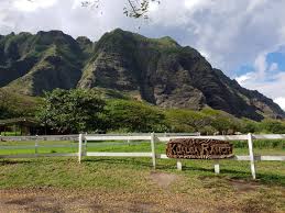 Eighteen years after jaws, steven spielberg striked hard again in the horror genre with another classic: Jurassic Park Hawaii The Best Of Kualoa Ranch Experience Globeblogging