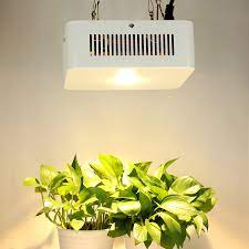 It is a plant savior with a higher output. 200w Cob Led Grow Light Warm White Panel Grow Lamp Sunlight Hydroponic Greenhouse Phytolamp Indoor Veg Flower Plant Growth Light 200w Led Grow Light Led Grow Lightgrow Light Aliexpress
