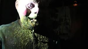 The scarehouse is always divided into three parts, but the middle chunk usually gets short shrift compared to the inaugural and final scenes; A Visit To The Scarehouse And Its Creepy Adults Only Basement Boing Boing