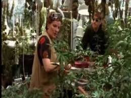 Saving grace is genuinely funny british comedy about grace, a recently widowed woman who risks losing her wonderful estate and beautiful garden because of the huge debts her husband. Craig Ferguson In Saving Grace Serious Scenes Youtube