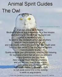 Snowy Owl One Of My Protectors Totems Owl Spirit Animal Animal Spirit Guide Animal Spirit Guides
