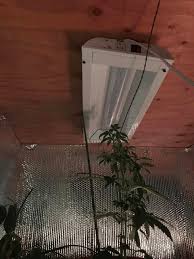 Innova led grow light manual. First Time Grow Running Into Some Issues That I M Needing Advice On Microgrowery