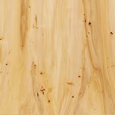American Elm Urban Tree Hardwood Wood Species