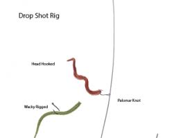 These weights are great when you want to change out to a different weight. How To Tie A Drop Shot Rig Planet Sea Fishing