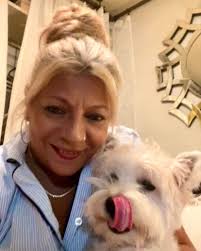 What advice for a Westie with elevated liver enzymes?