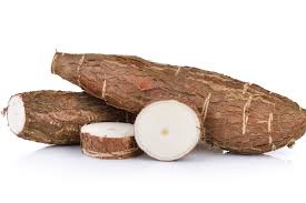 Decouvrir Le Manioc Et Ses Opportunites En Cote D Ivoire Israel Guebo
