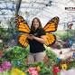 BENA Chapter Meeting: Butterfly Biology and Ecology