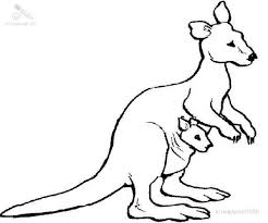 This kangaroo coloring pages will helps kids to focus while developing creativity, motor skills and color recognition. Free Printable Coloring Page Kangaroo Coloring And Drawing