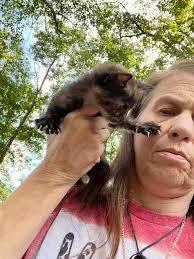 Feral kitten rescue at Lowe's parking lot, need for trapping and care
