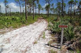 Maybe you would like to learn more about one of these? Side Trail To Scrub Jay Campsite Jonathan Dickinson State Park Stock Photo Picture And Royalty Free Image Image 14090556