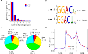 Chong zhaojun, leng kok ooi. Frontiers Profiling Of Rna N6 Methyladenosine Methylation Reveals The Critical Role Of M6a In Chicken Adipose Deposition Cell And Developmental Biology